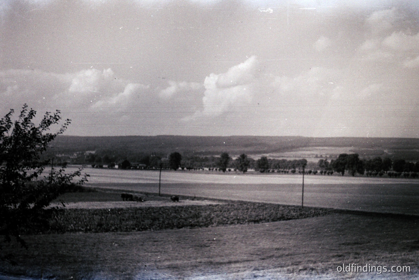 Vintage photograph