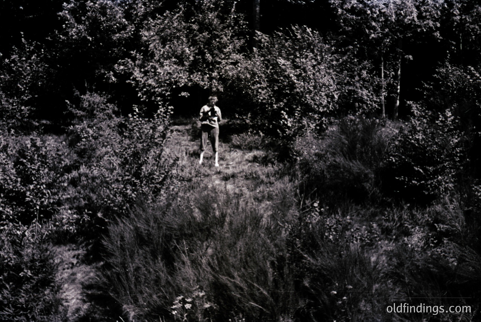 Vintage photograph
