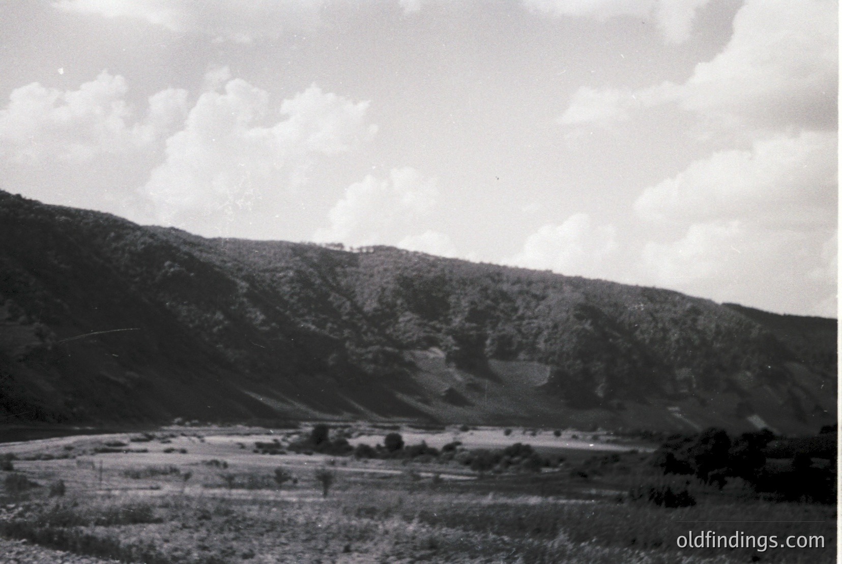 Vintage photograph