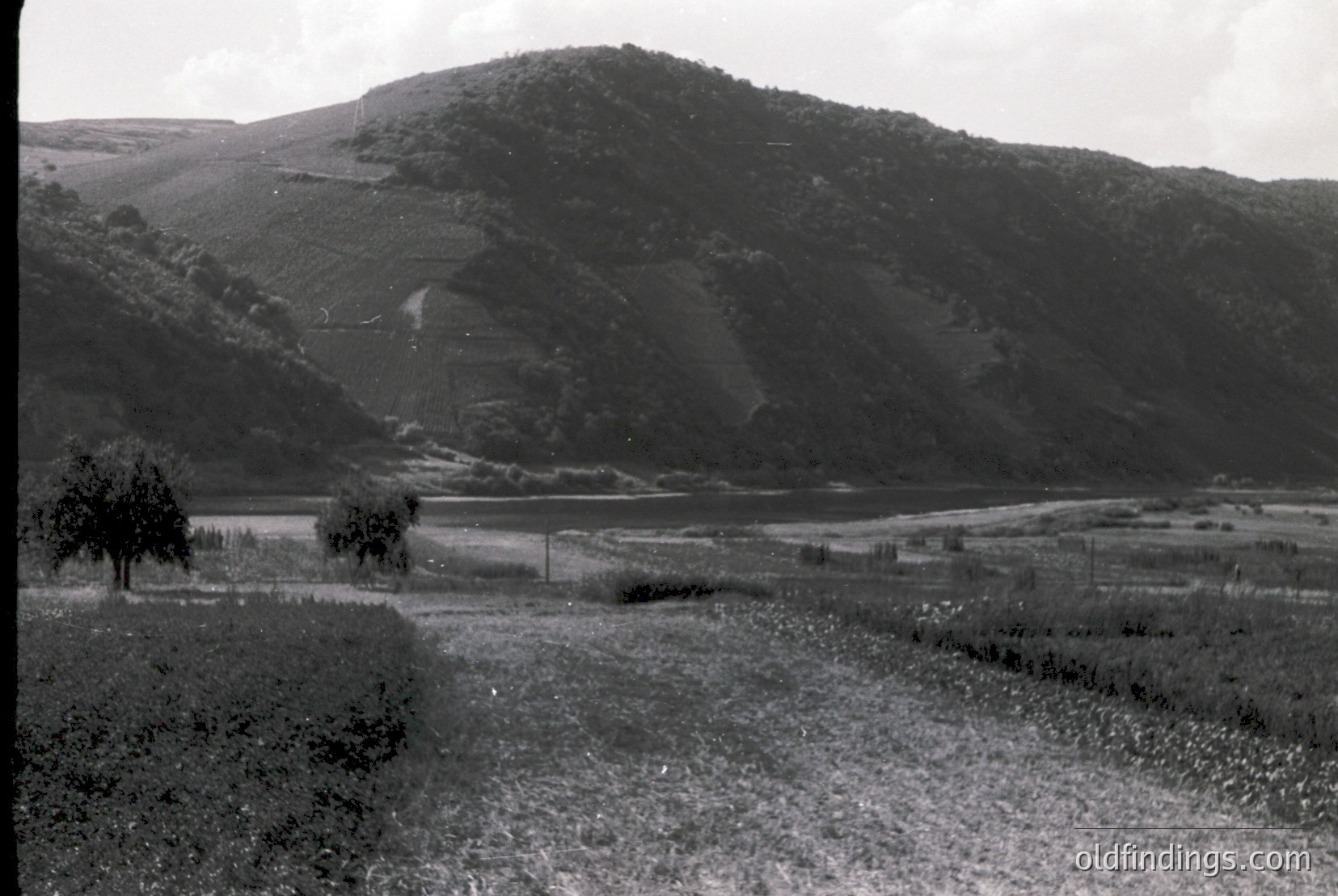 Vintage photograph