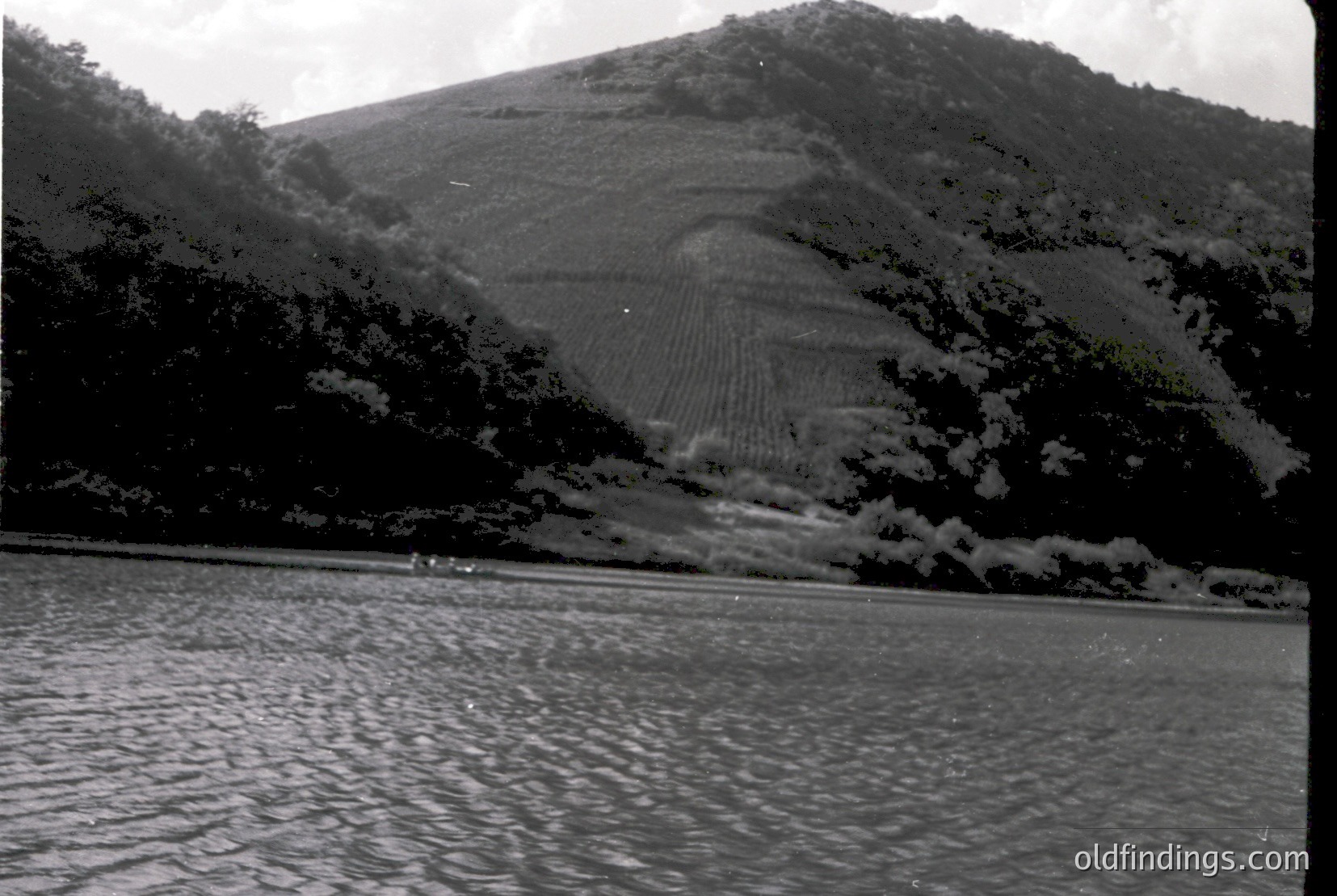 Vintage photograph