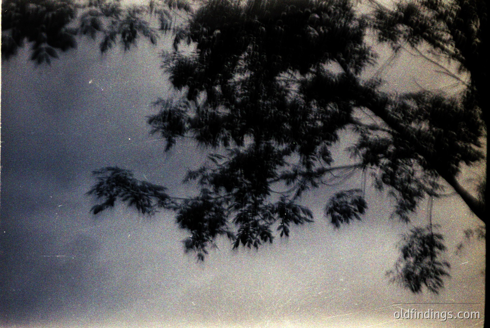 Vintage photograph