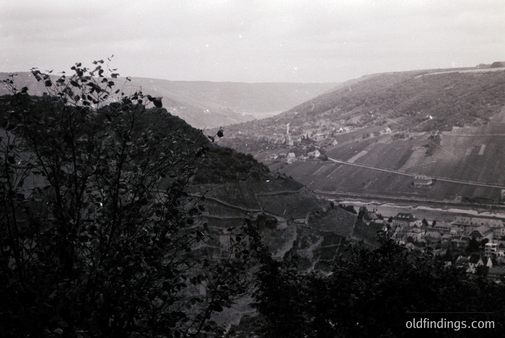 Vintage photograph