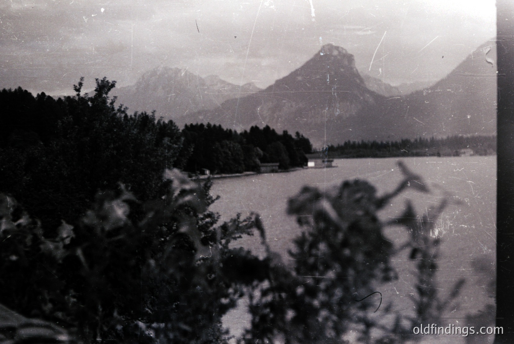 Vintage photograph