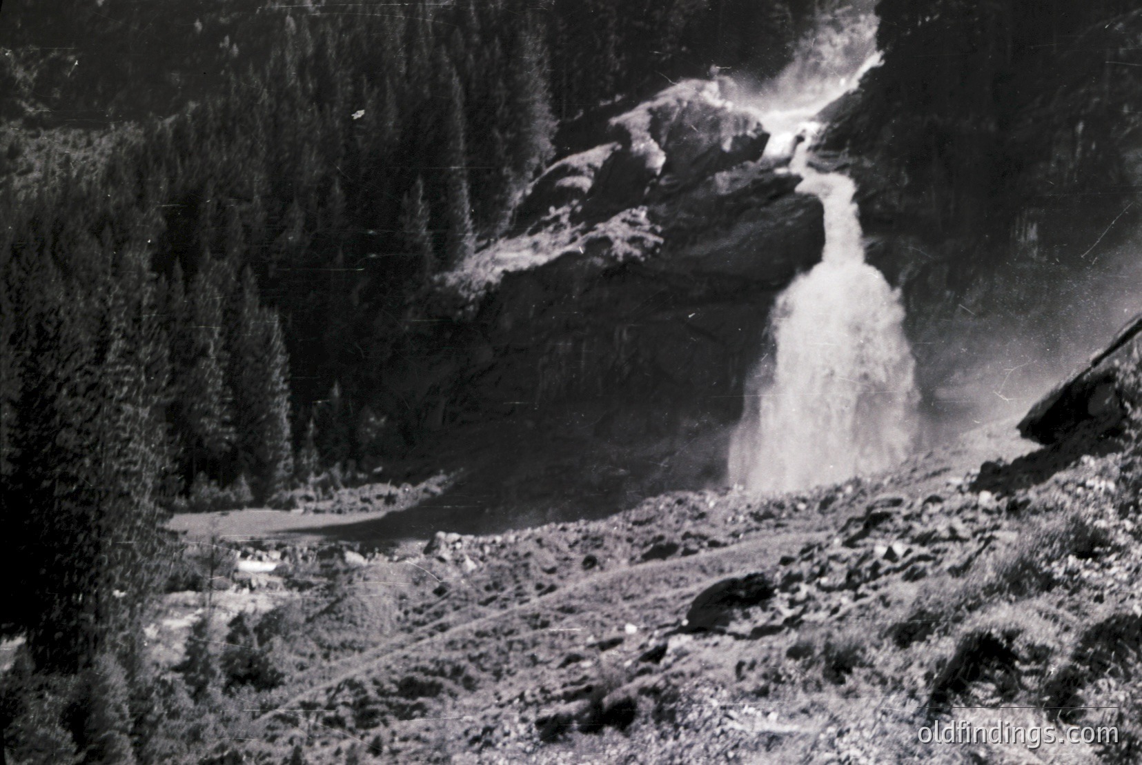 Vintage photograph