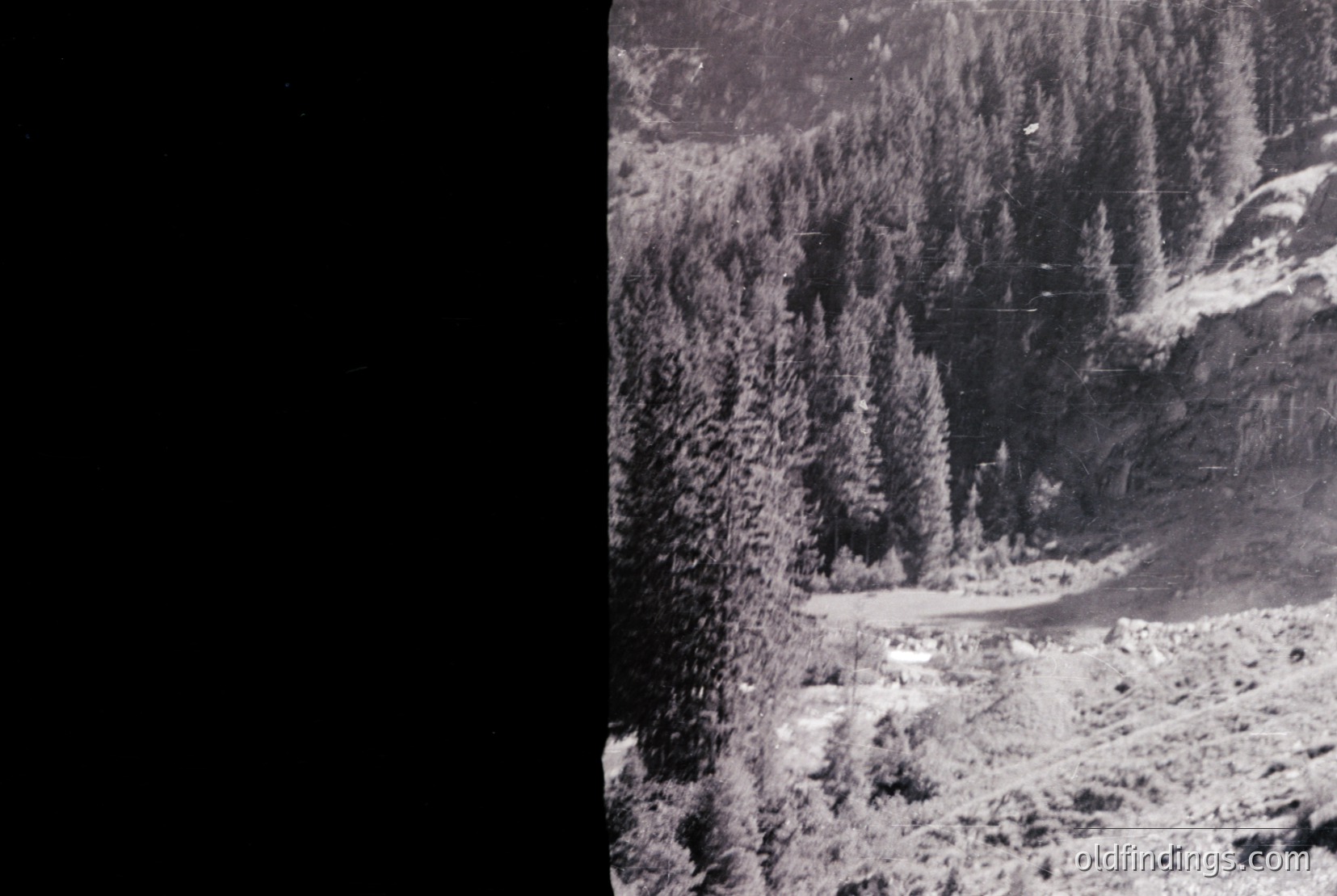 Vintage photograph