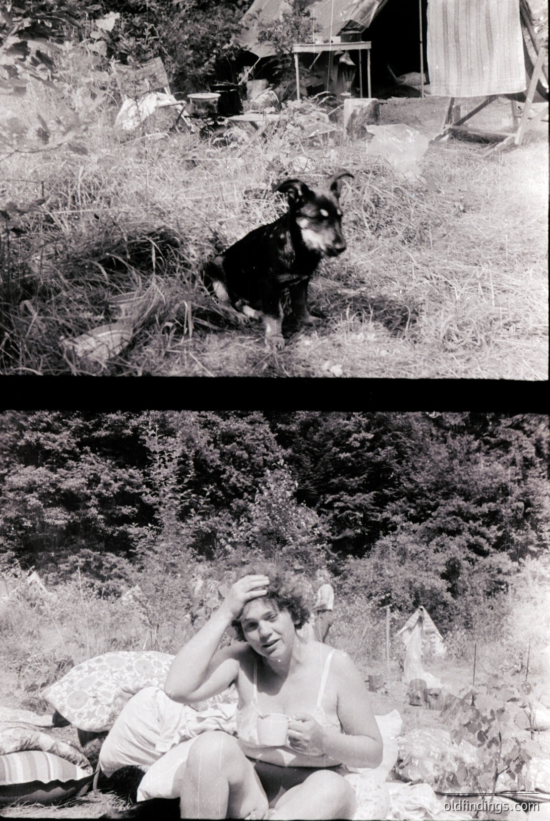 Vintage photograph