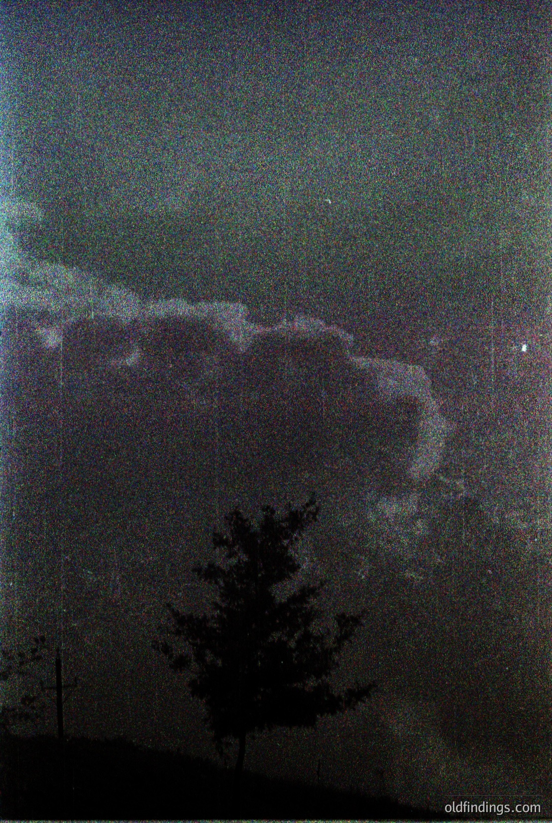 Vintage photograph
