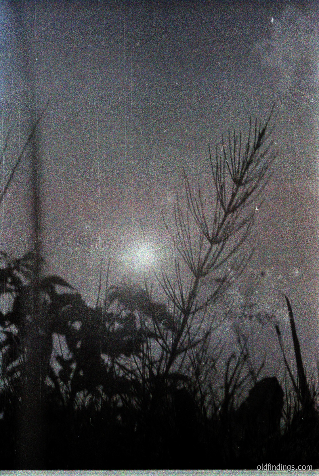 Vintage photograph