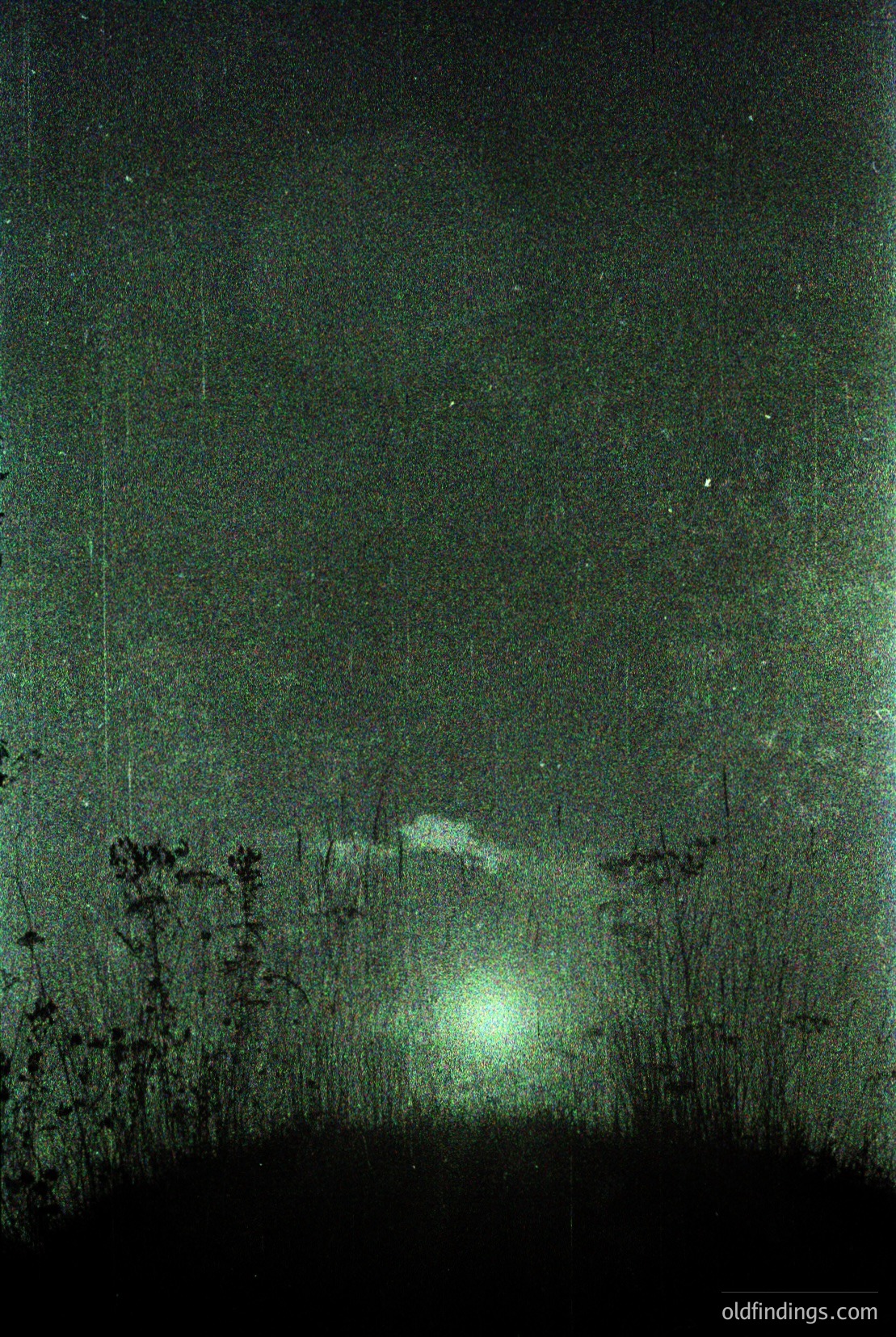 Vintage photograph