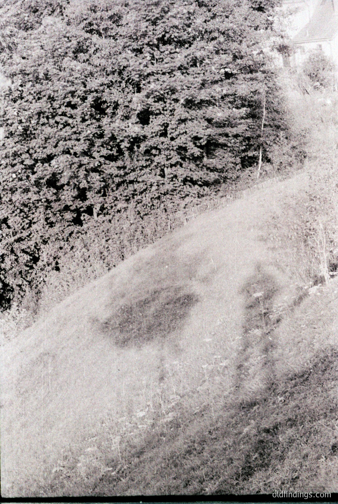 Vintage photograph
