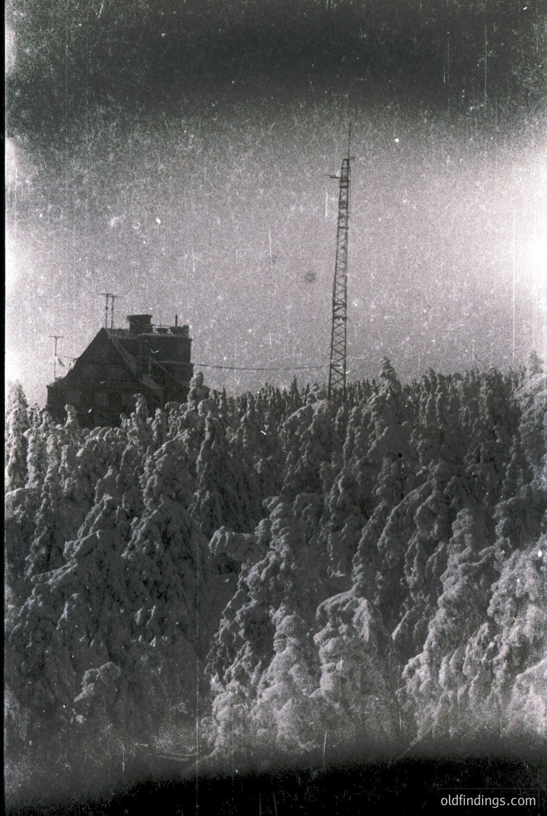 Vintage photograph