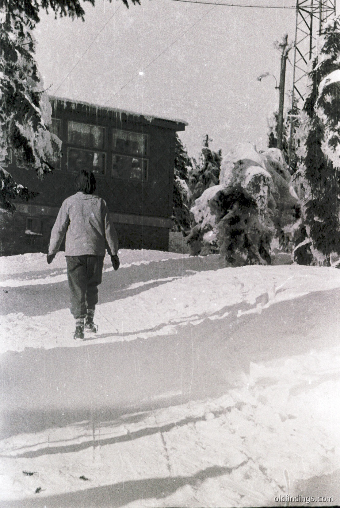 Vintage photograph