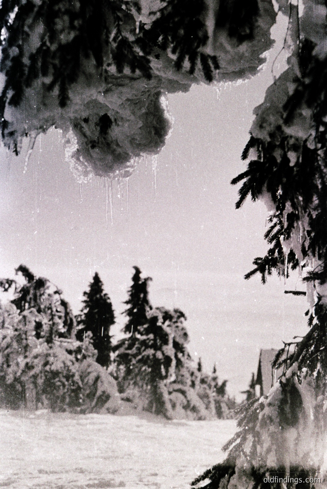 Vintage photograph