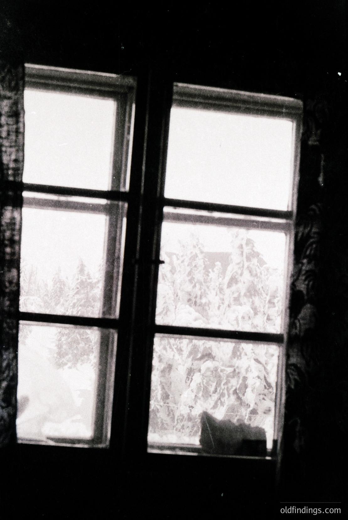 Vintage photograph