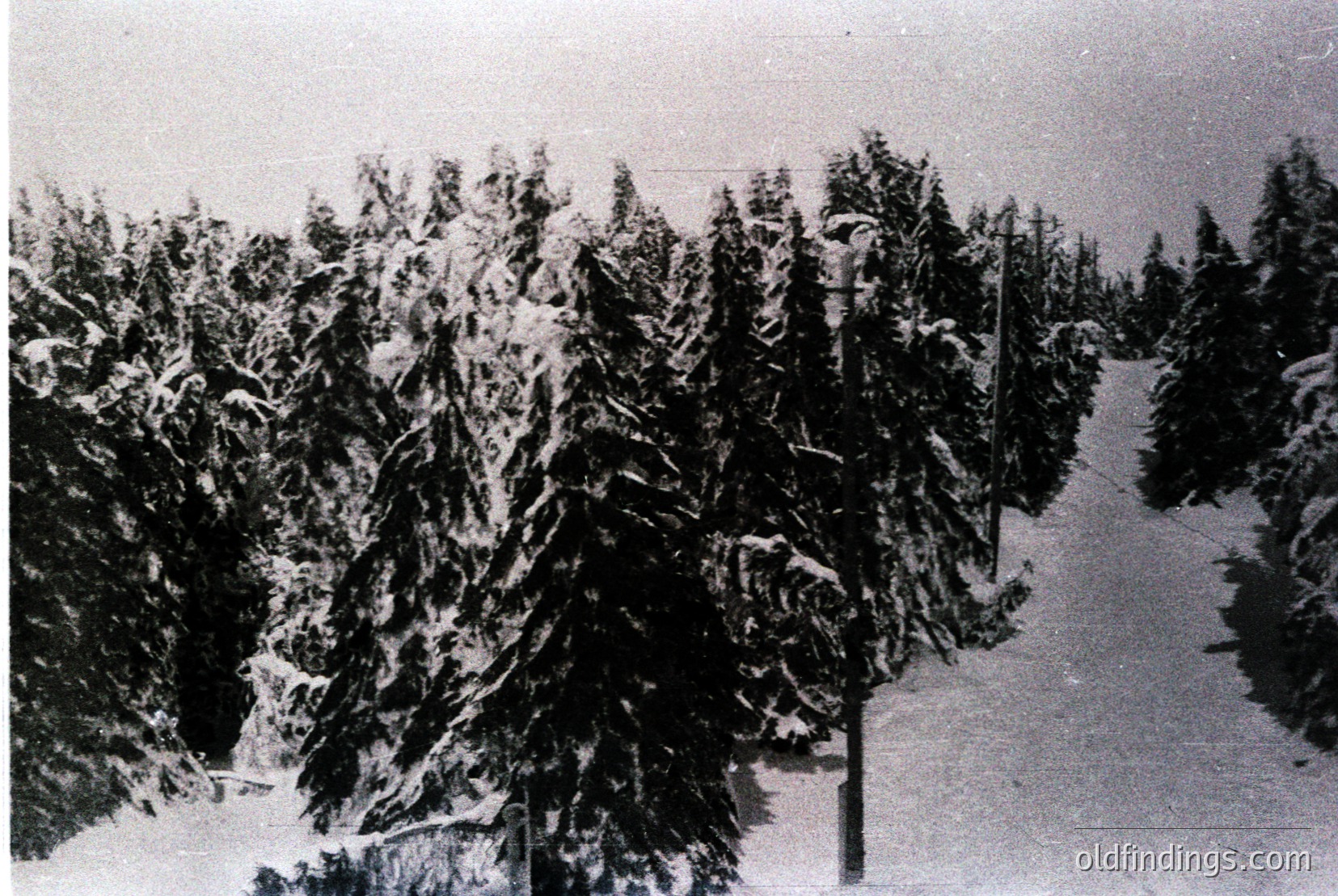 Vintage photograph