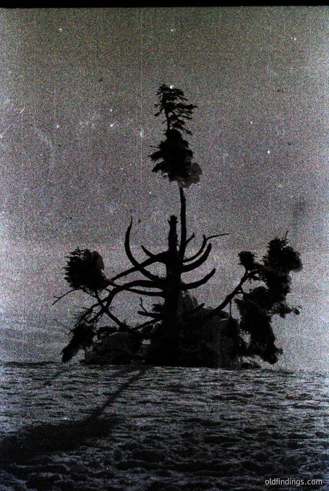Vintage photograph