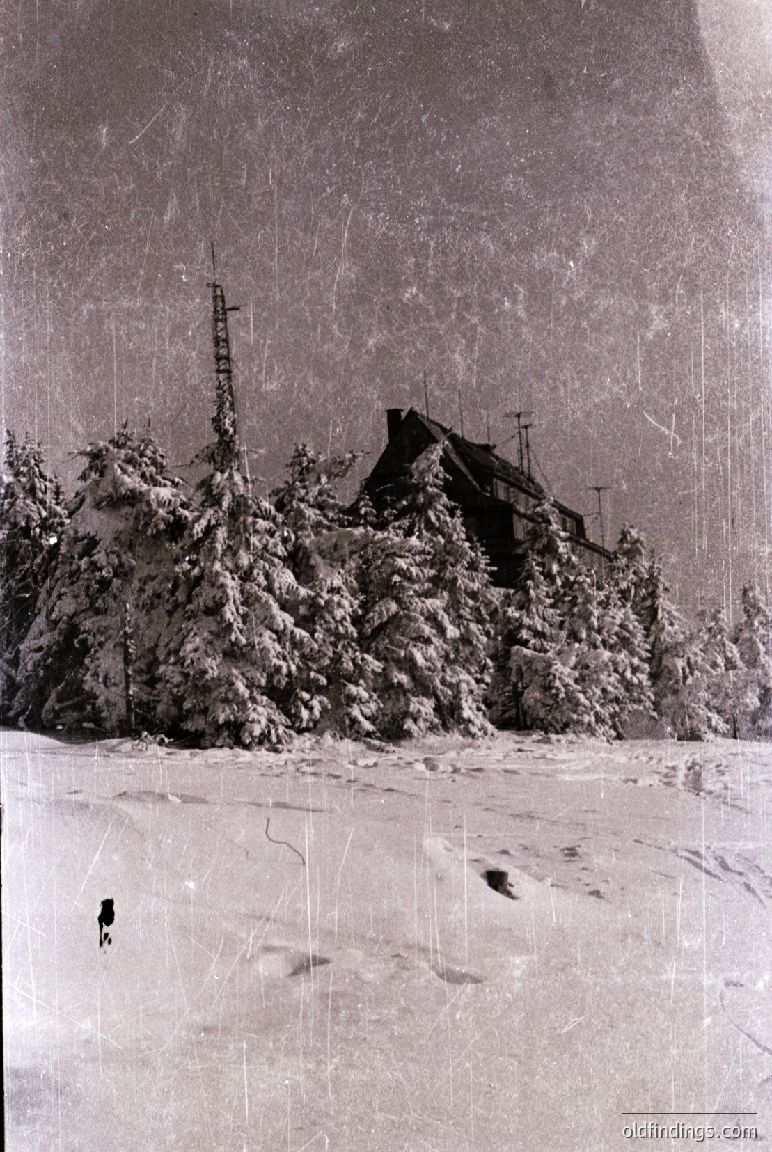 Vintage photograph