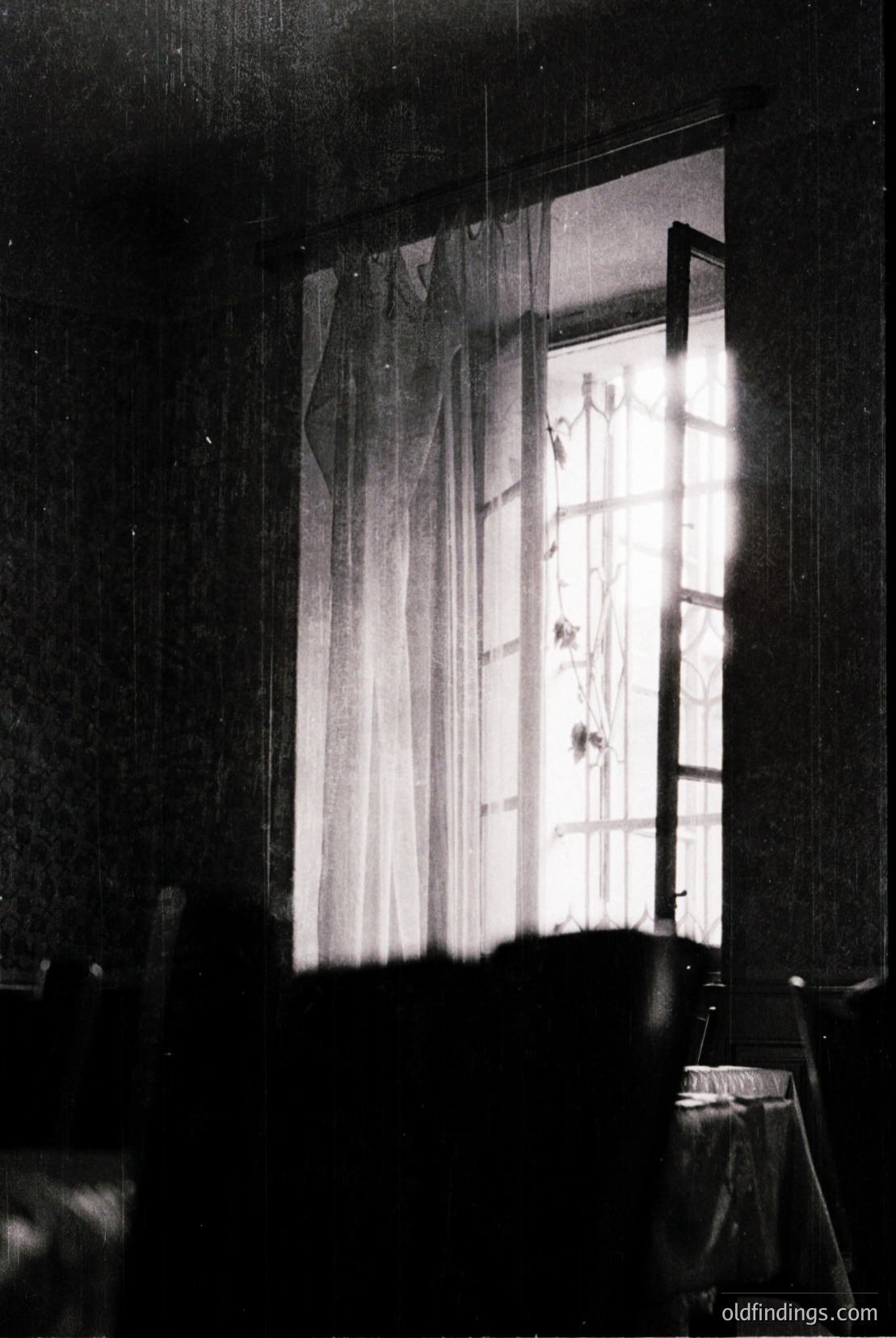 Vintage photograph