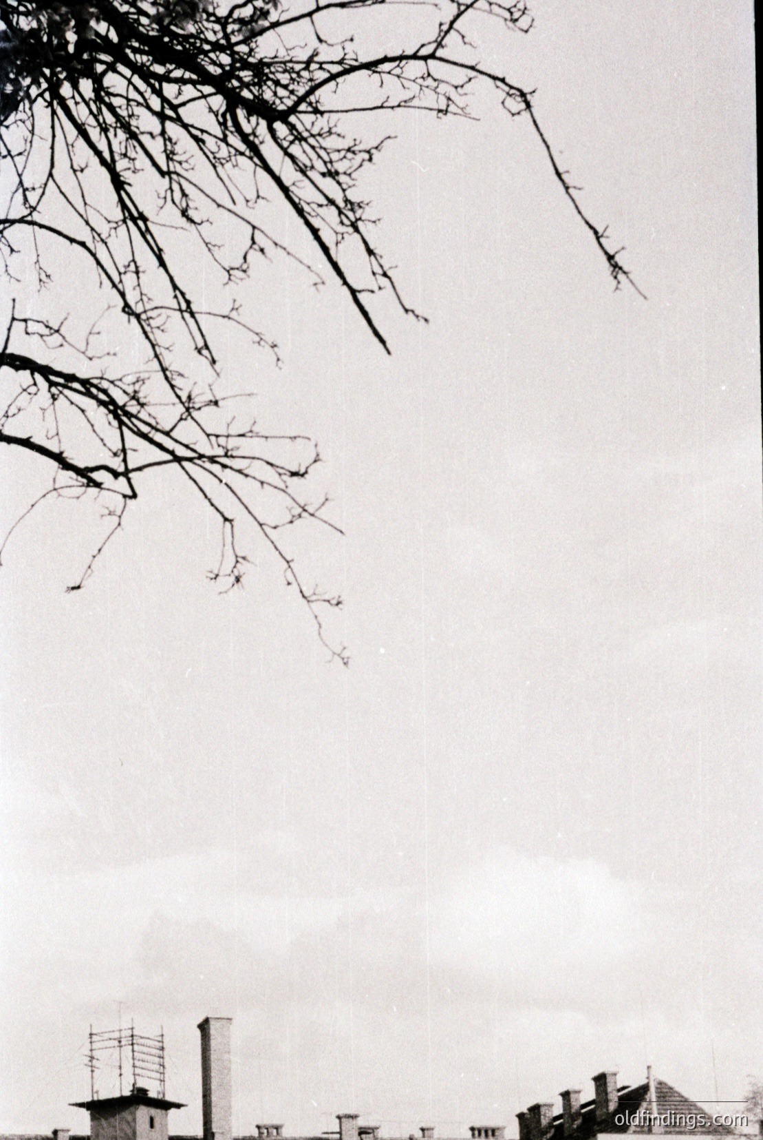 Vintage photograph
