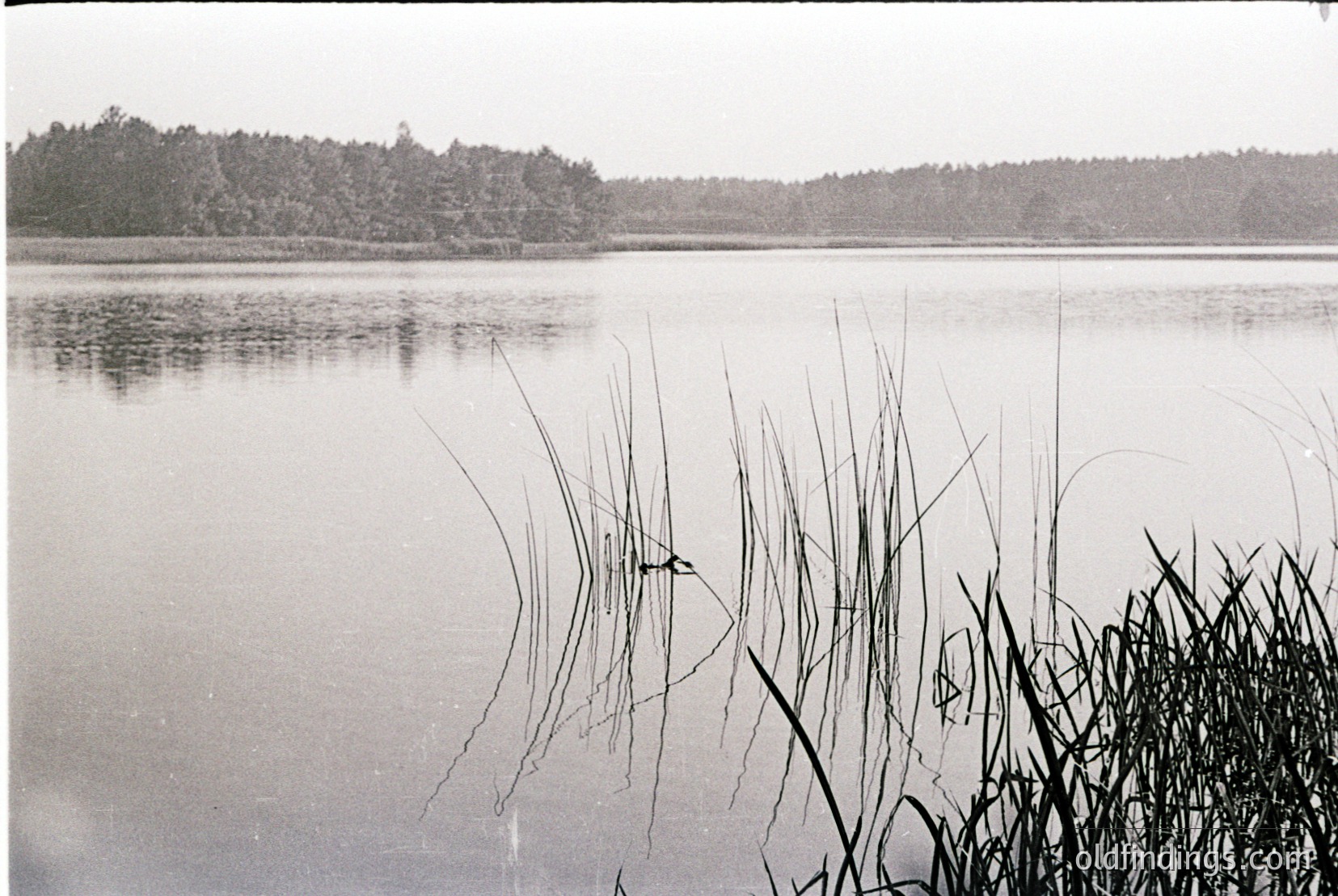 Vintage photograph