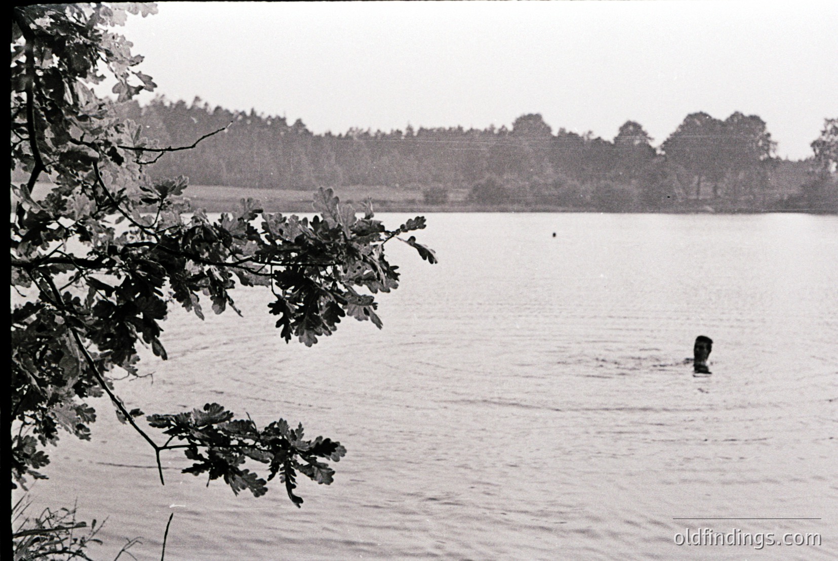 Vintage photograph