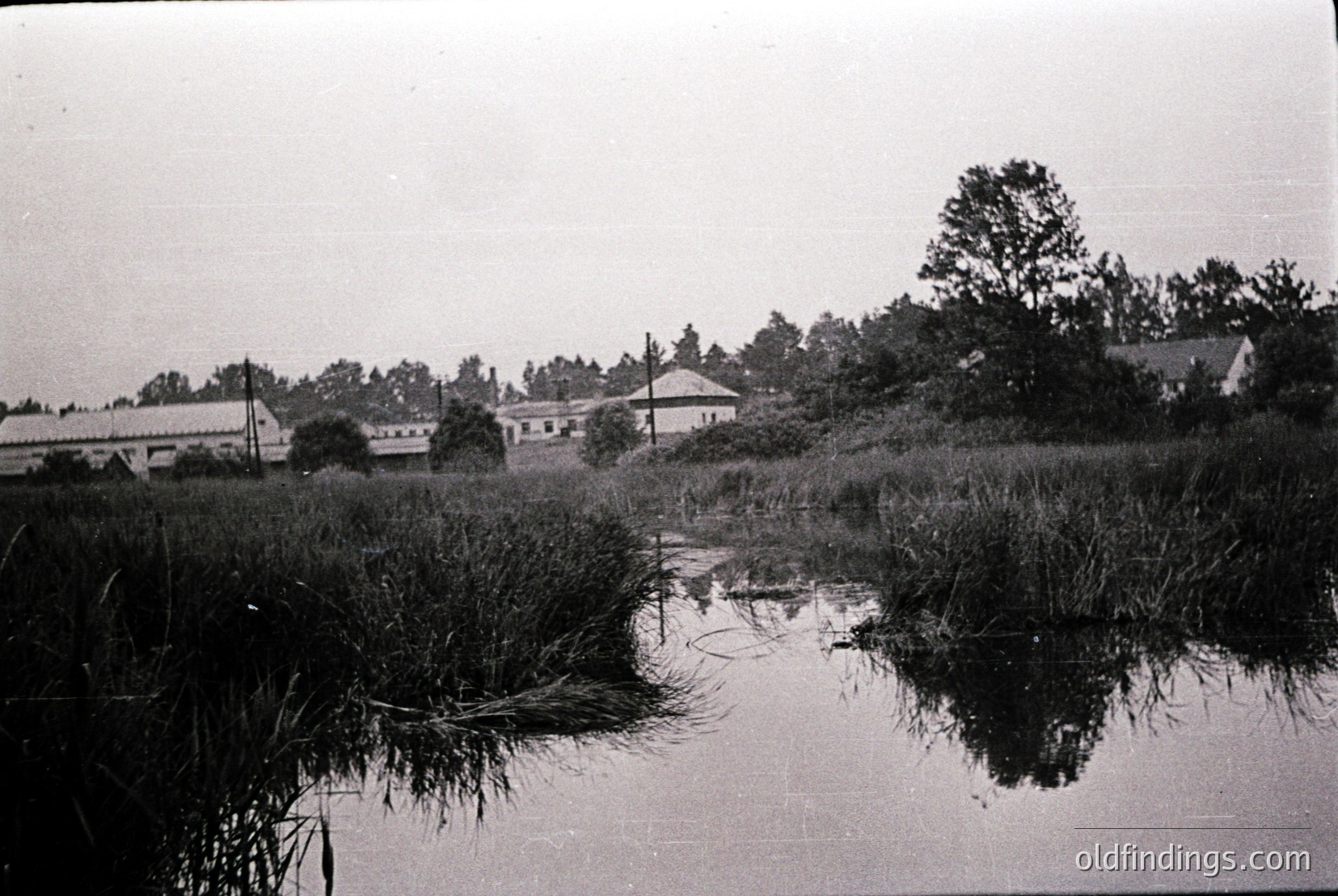 Vintage photograph