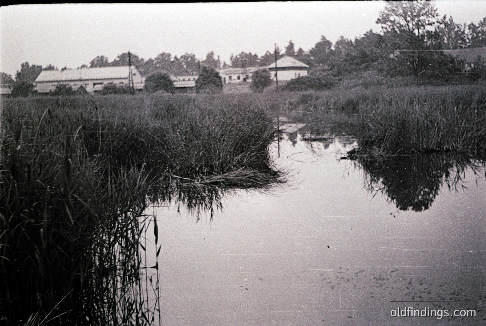 Vintage photograph