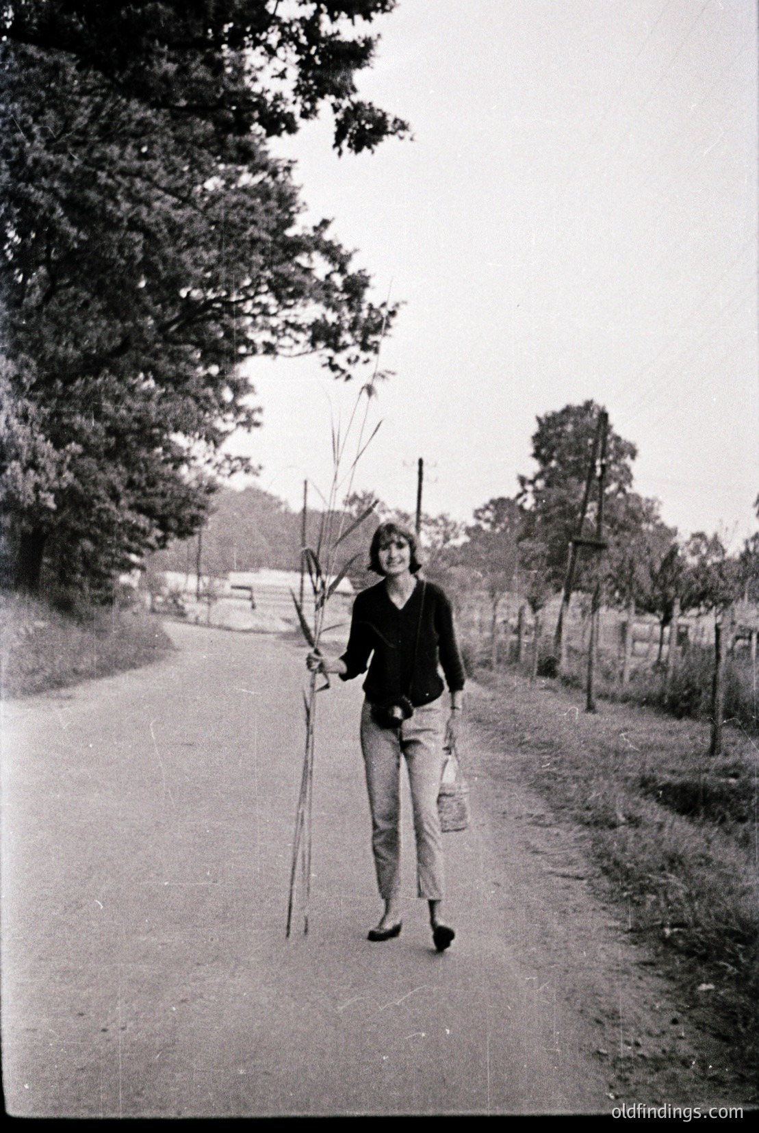Vintage photograph