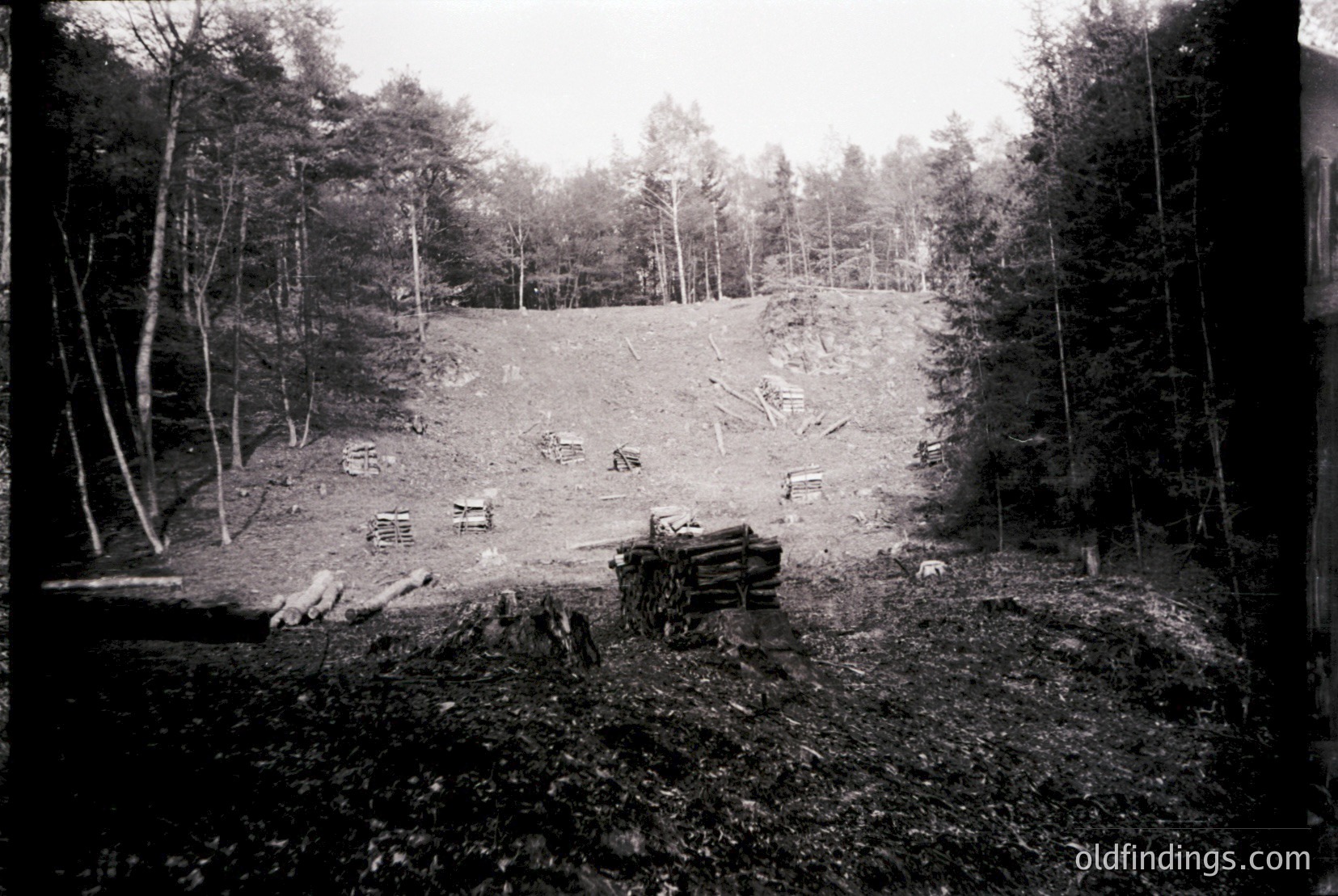 Vintage photograph