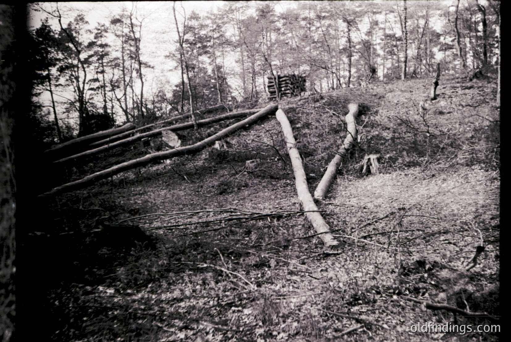Vintage photograph