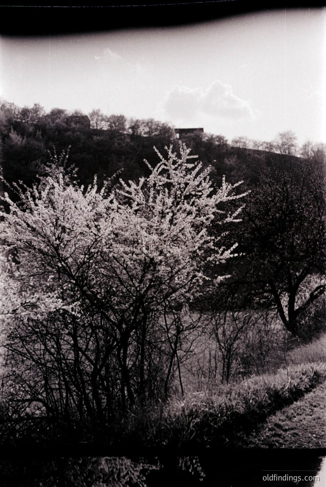 Vintage photograph