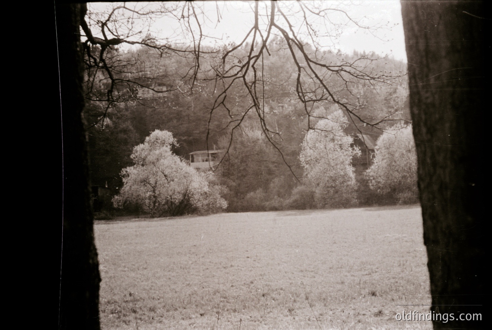 Vintage photograph