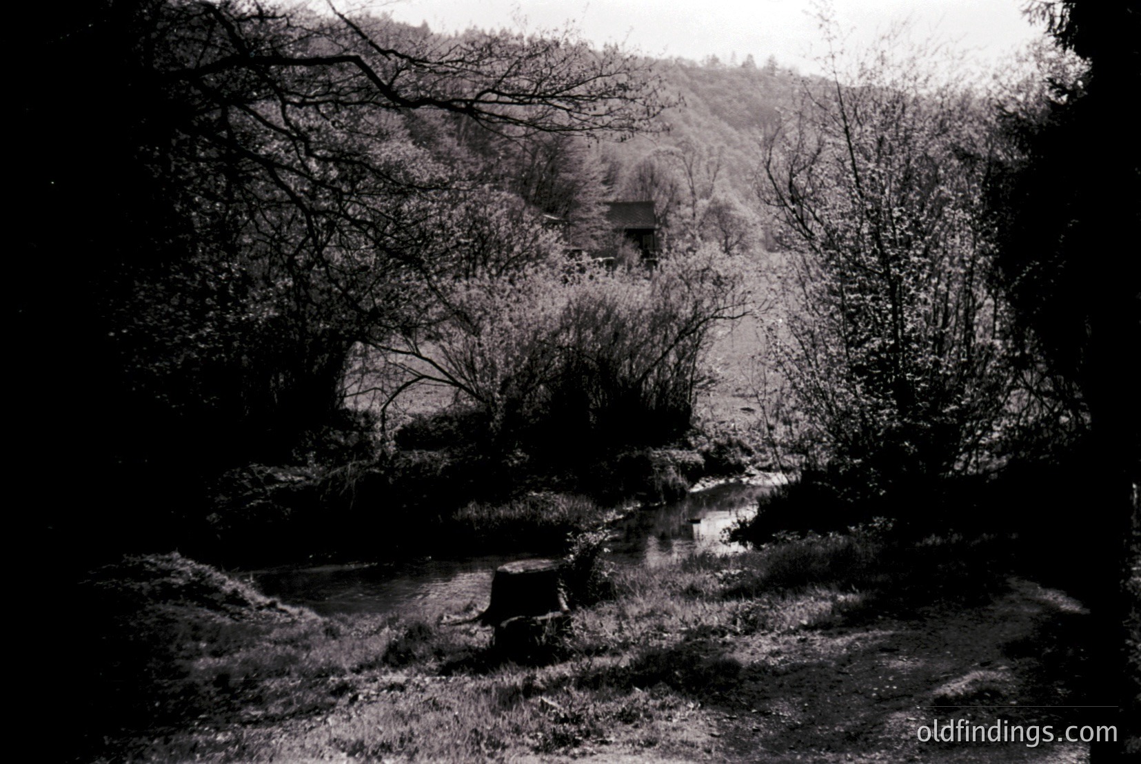 Vintage photograph