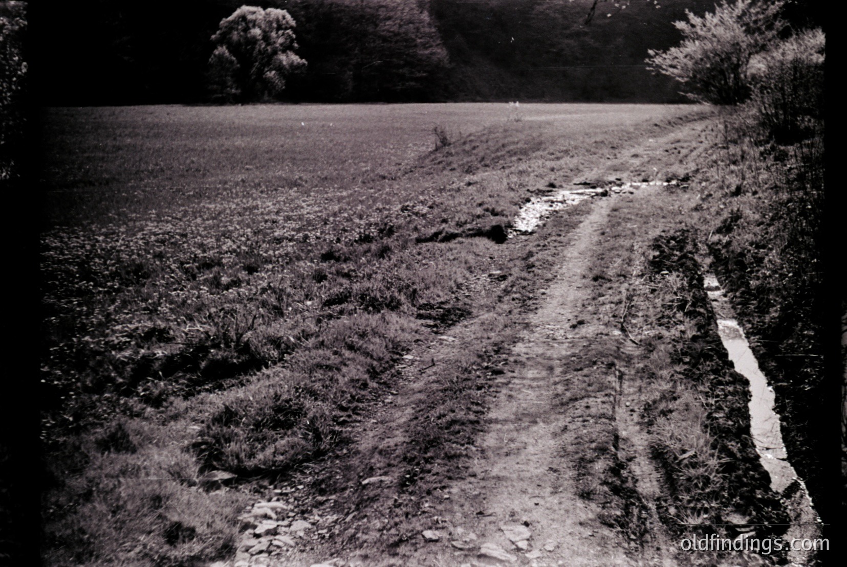 Vintage photograph
