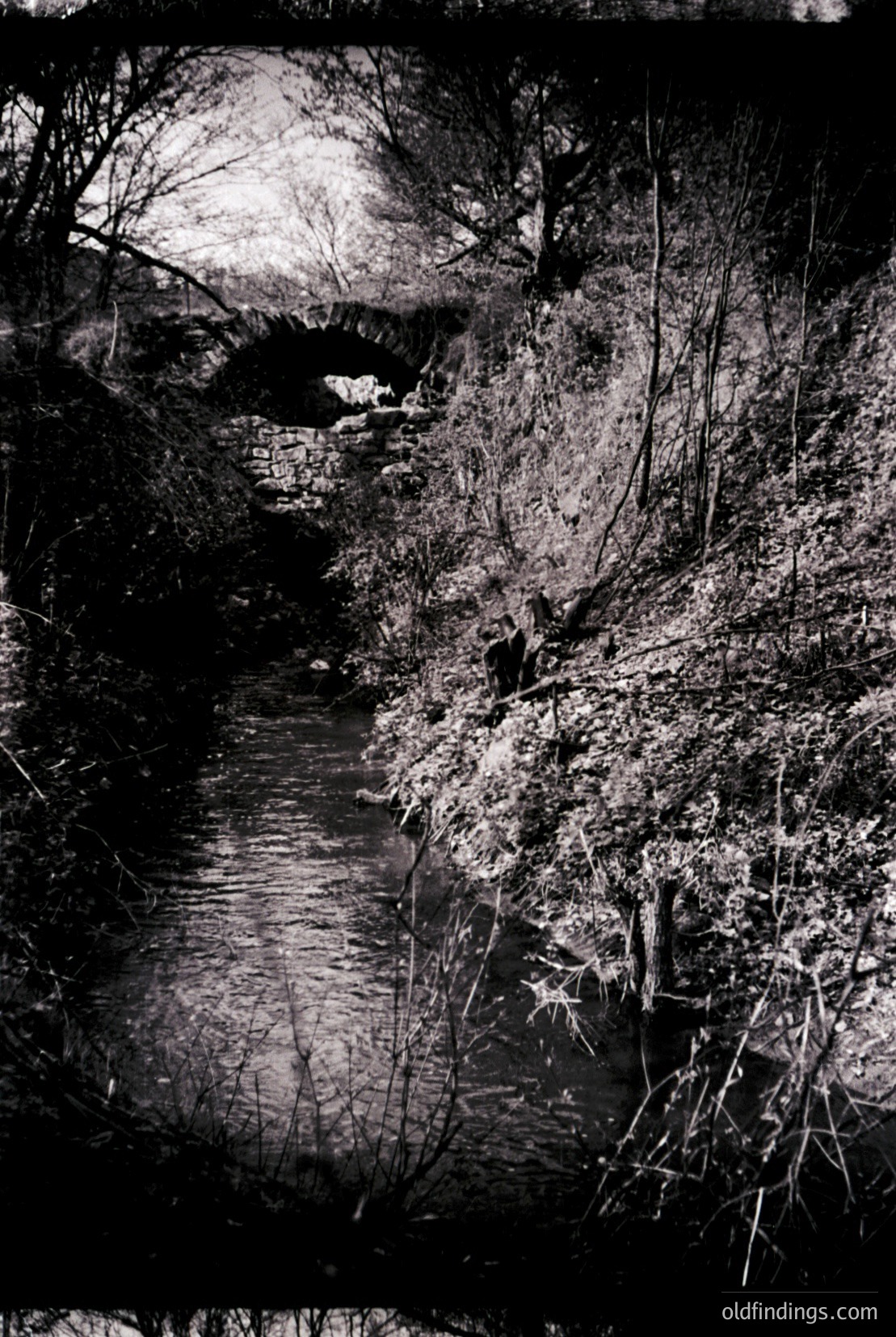 Vintage photograph