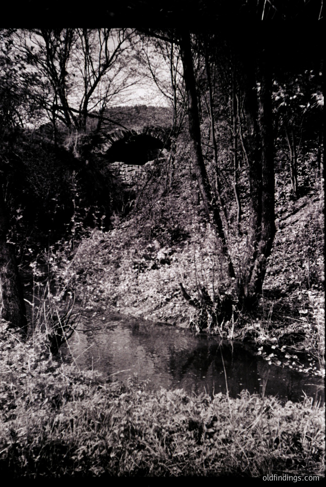 Vintage photograph