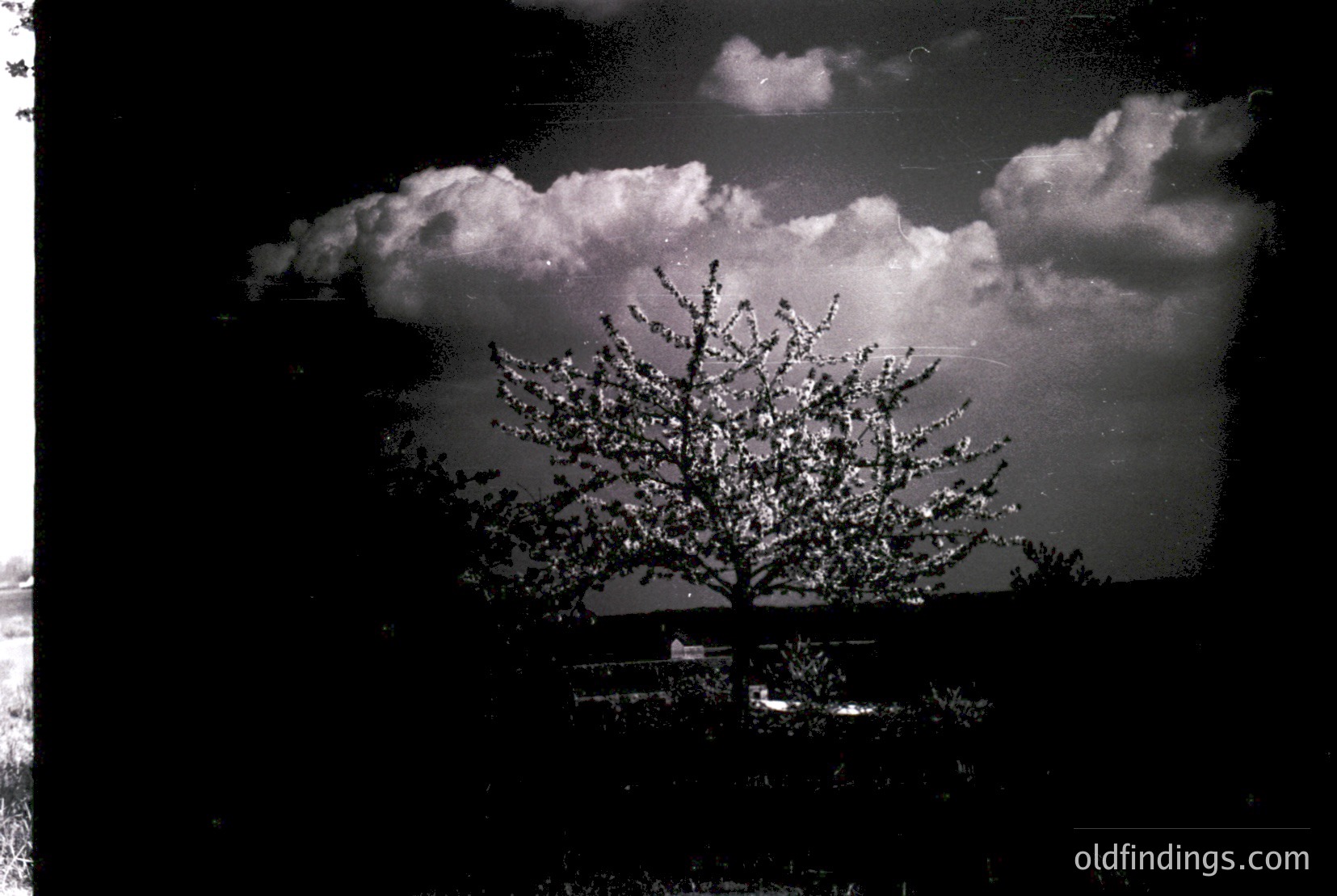 Vintage photograph