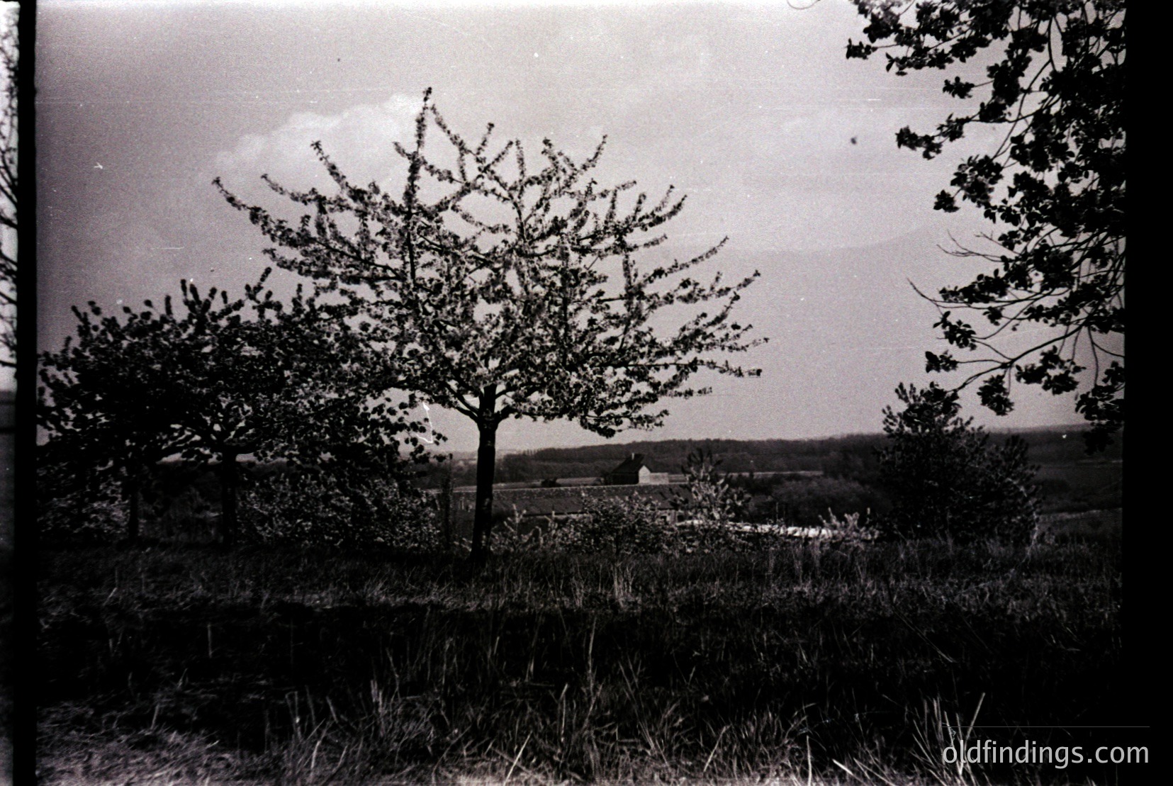 Vintage photograph