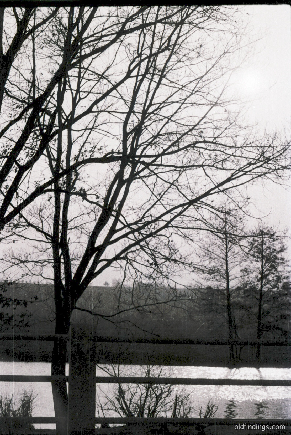 Vintage photograph