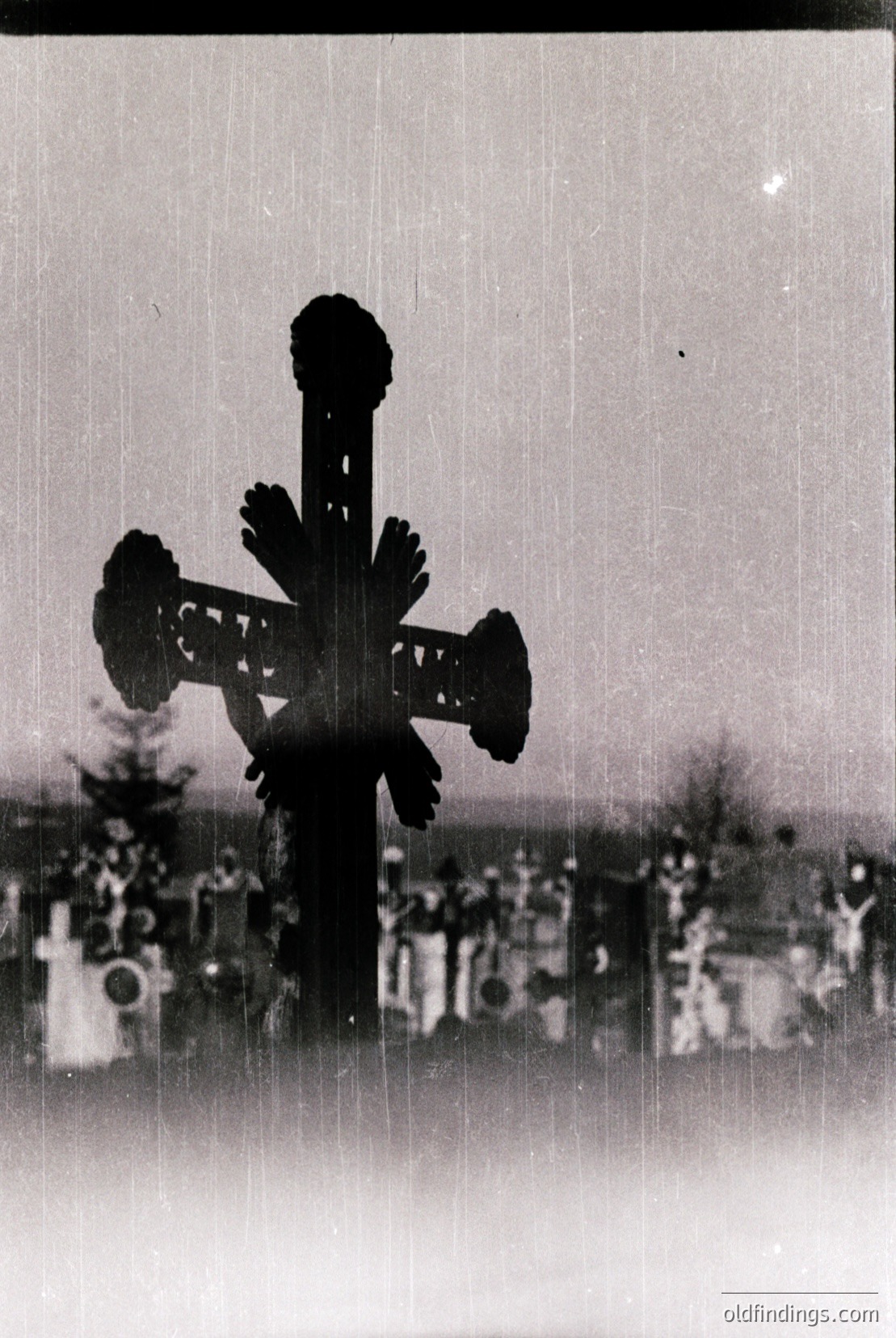Vintage photograph