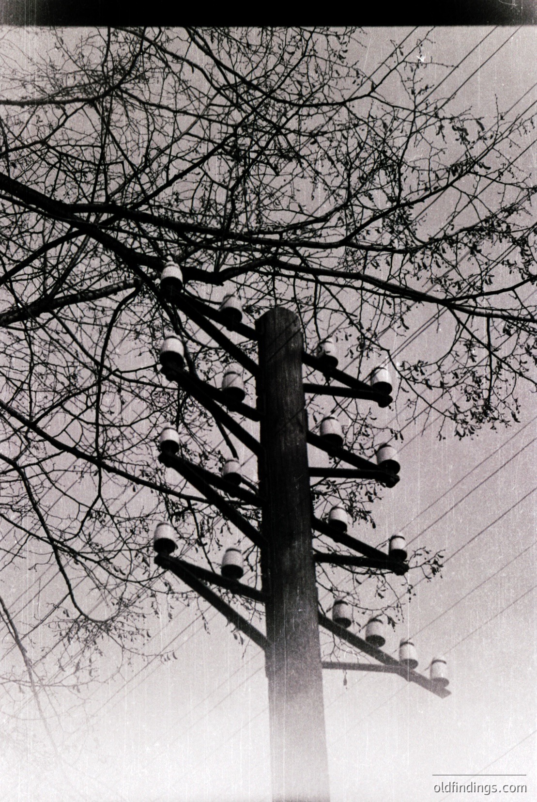 Vintage photograph