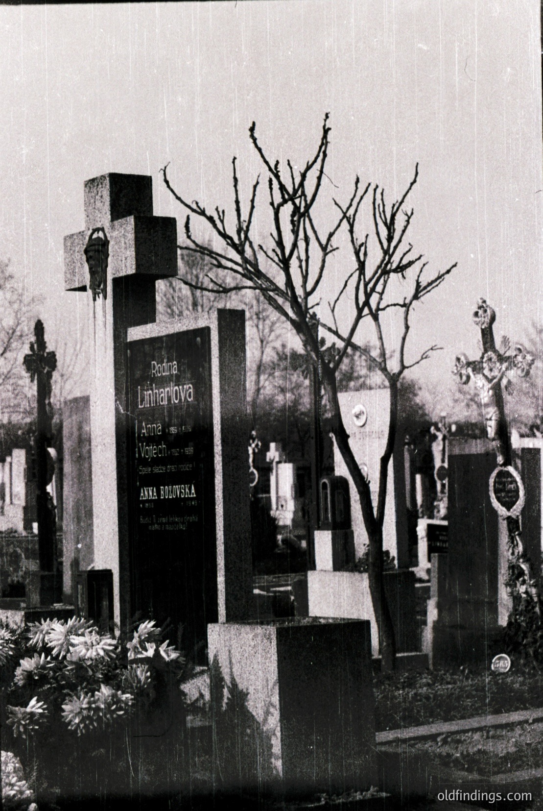 Vintage photograph