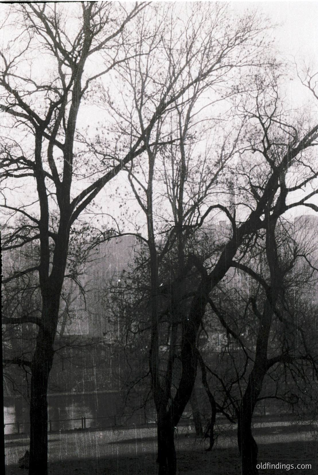 Vintage photograph