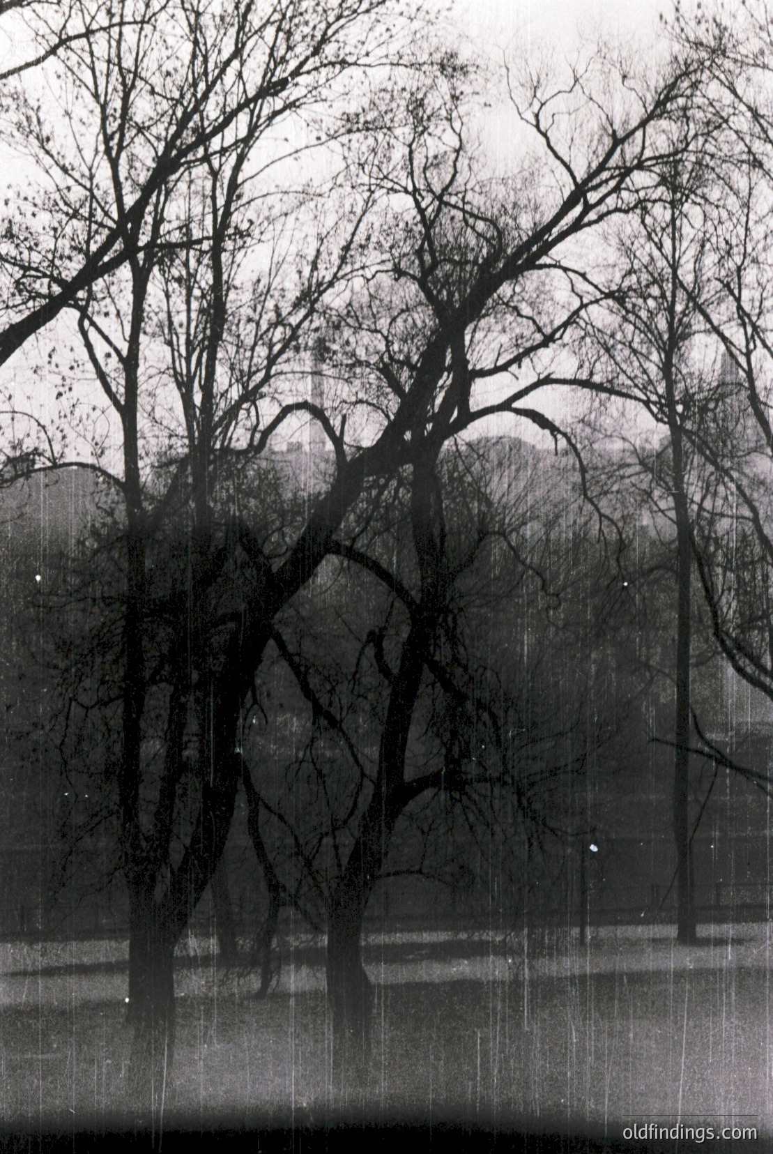 Vintage photograph
