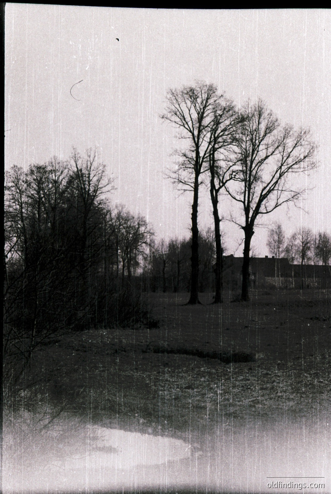 Vintage photograph