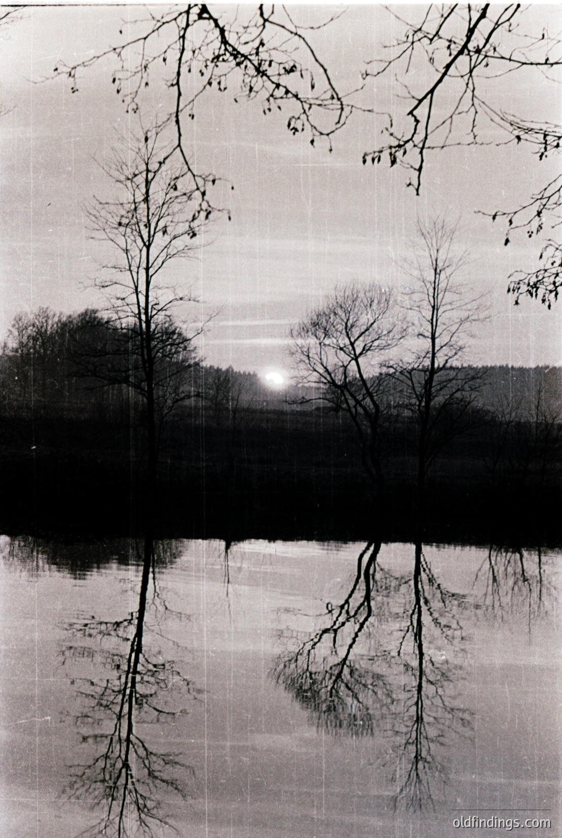 Vintage photograph