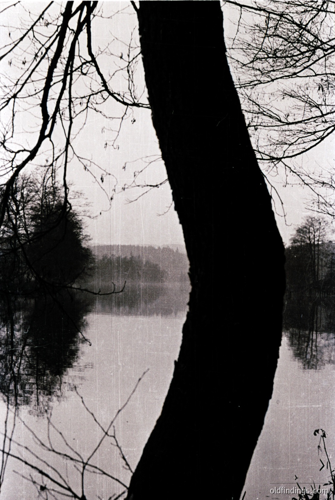 Vintage photograph
