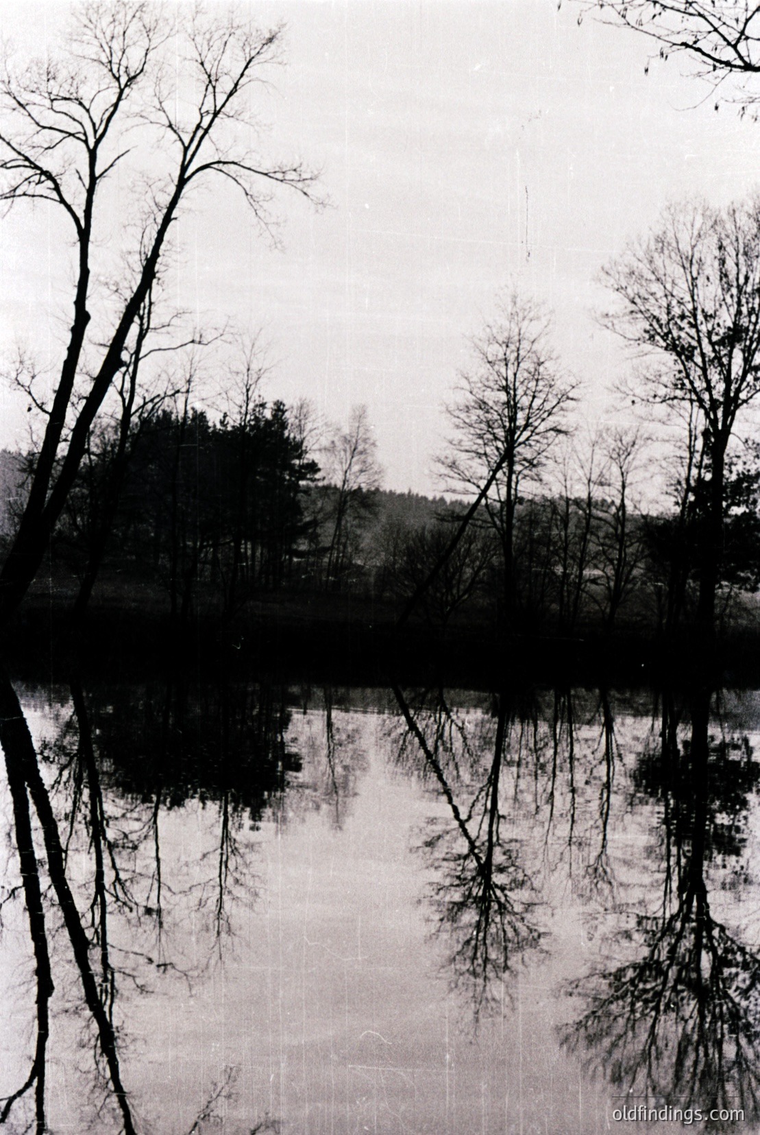 Vintage photograph