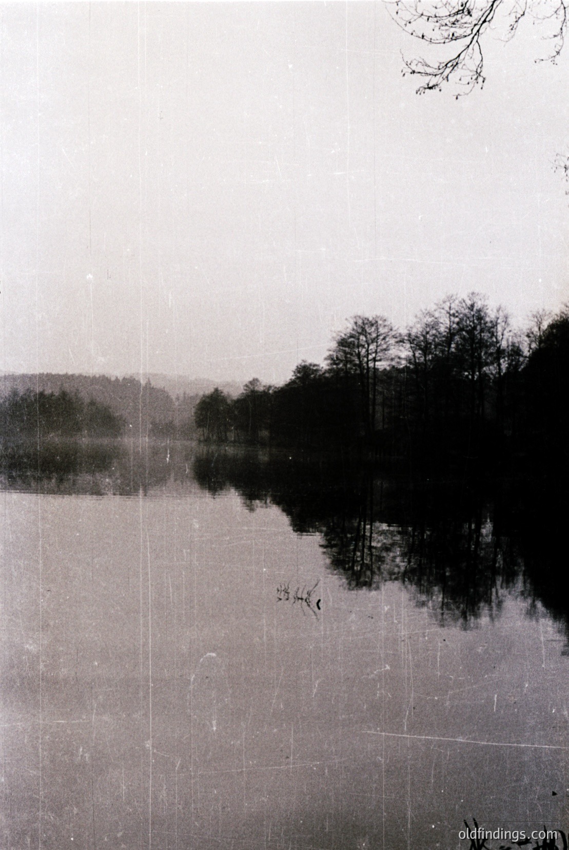 Vintage photograph
